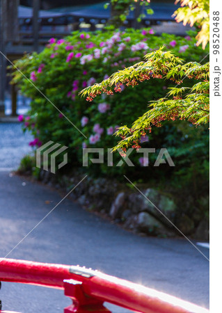 静岡県周智郡森町一宮　小國神社と境内の風景 98520488
