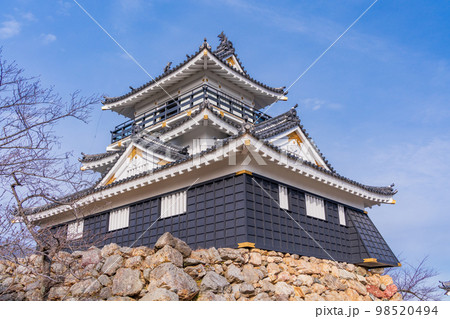 （静岡県）浜松城　天守閣 98520494