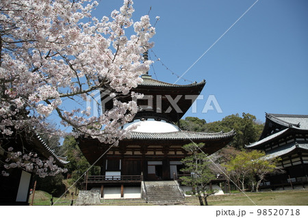 根来寺 根来寺 98520718