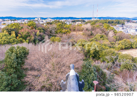 （静岡県）浜松城天守閣から見下ろす、浜松の街並み 98520907