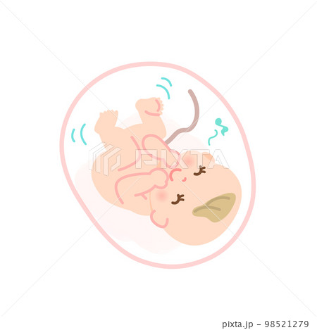お腹の中で元気に動く赤ちゃんのイメージイラスト 98521279