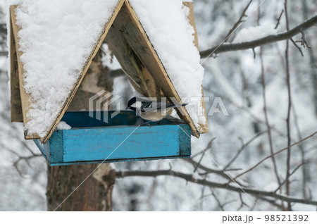 Snow covered wooden bird feeder 98521392