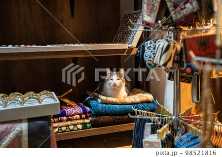 コソボ プリズレン 猫 シナン・パシャ・モスク Cat Sinan Pasha Mosque 98521816