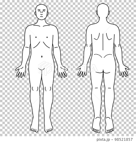 人體正反面簡單全身圖 人體正反面簡單全身圖 98521857