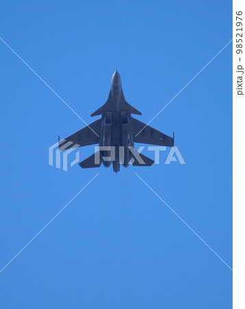 インド空軍スホーイSu-30MKI 98521976