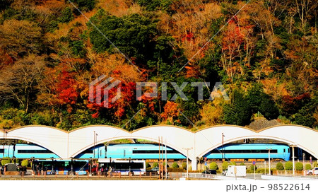 【人気観光地】秋の箱根湯本駅 98522614