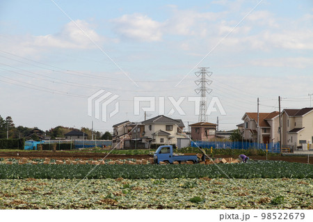 大都市近郊の農業風景 大都市近郊の農業風景 98522679