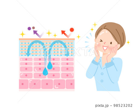 肌のターンオーバー　皮膚の構造と女性 98523202
