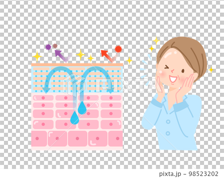 肌のターンオーバー　皮膚の構造と女性 98523202