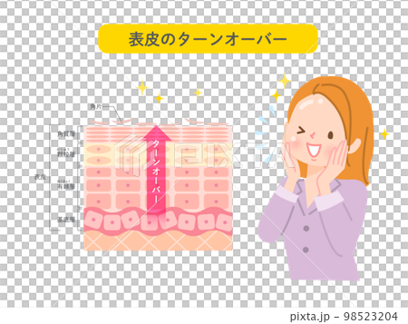 Skin turnover Skin structure and women Skin turnover Skin structure and women 98523204