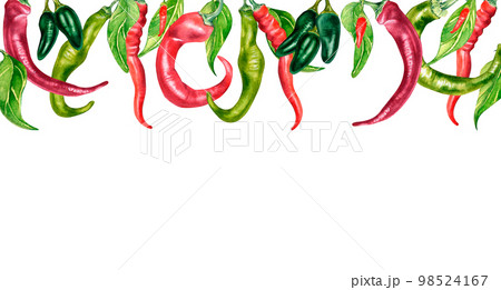 Board of various hot peppers watercolor illustration isolated on white. Board of various hot peppers watercolor illustration isolated on white. 98524167