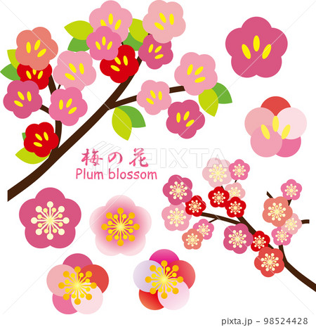 梅の花のイラスト素材セット 98524428