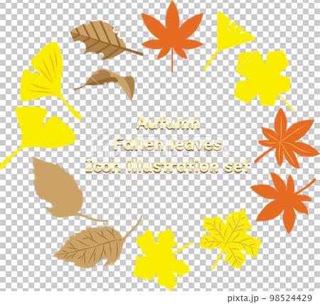 秋の落ち葉のアイコンイラスト素材セット 秋の落ち葉のアイコンイラスト素材セット 98524429