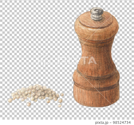 Mill and white pepper, watercolor pencil spice illustration Mill and white pepper, watercolor pencil spice illustration 98524734