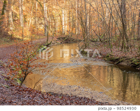 Seefeld, Germany - December 30th 2023: Small river through a beech forest in late autumn conditions 98524930