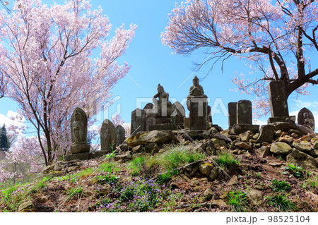 桜が咲く山門と石像 信州の桜 いにしえの石像 美しき桜の花 花と植物が織りなす色紙 桜が咲く山門と石像 信州の桜 いにしえの石像 美しき桜の花 花と植物が織りなす色紙 98525104