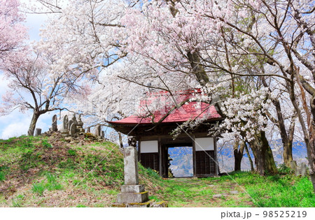 桜が咲く山門と石像 信州の桜 いにしえの石像 美しき桜の花 花と植物が織りなす色紙 桜が咲く山門と石像 信州の桜 いにしえの石像 美しき桜の花 花と植物が織りなす色紙 98525219