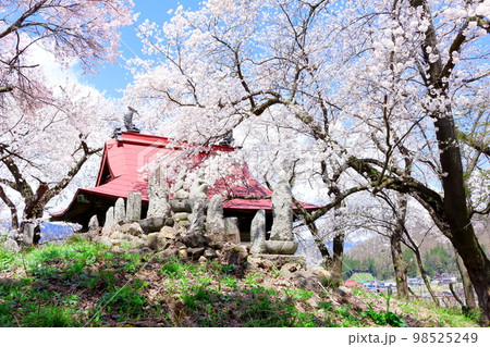桜が咲く山門と石像 信州の桜 いにしえの石像 美しき桜の花 花と植物が織りなす色紙 桜が咲く山門と石像 信州の桜 いにしえの石像 美しき桜の花 花と植物が織りなす色紙 98525249