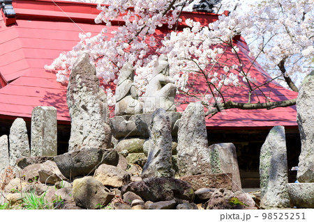 桜が咲く山門と石像　　　信州の桜　　いにしえの石像　  美しき桜の花　　花と植物が織りなす色紙　 98525251