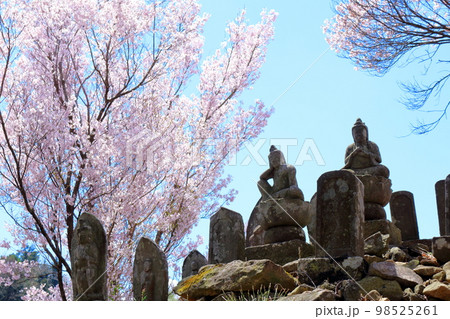 桜が咲く山門と石像 信州の桜 いにしえの石像 美しき桜の花 花と植物が織りなす色紙 桜が咲く山門と石像 信州の桜 いにしえの石像 美しき桜の花 花と植物が織りなす色紙 98525261
