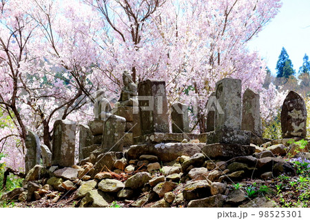桜が咲く山門と石像　　　信州の桜　　いにしえの石像　  美しき桜の花　　花と植物が織りなす色紙　 98525301