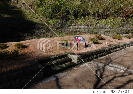 金沢八景権現山公園 98525381