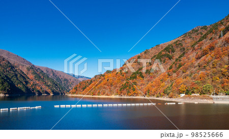長野県 梓湖の紅葉 長野県 梓湖の紅葉 98525666