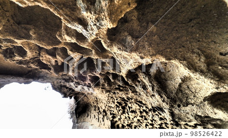 世界遺産 熊野 鬼ヶ城 蜂の巣 98526422
