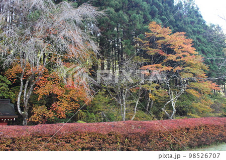 憾満が淵 98526707