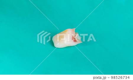 Children's milk tooth on a green background, macro. Pediatric dentistry, extraction of milk teeth in children. Dental surgery 98526734