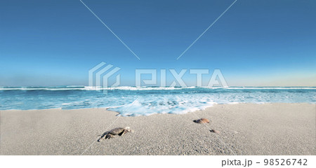 青空と波打つ海と無人の砂浜、自然,環境のイメージ 98526742