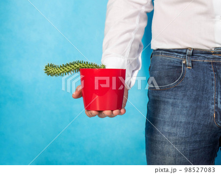 A man holds a red pot with a cactus in his hand on a blue background. The concept of treatment of psychosomatic problems in sexology, weak erection, viagra. Close-up A man holds a red pot with a cactus in his hand on a blue background. The concept of treatment of psychosomatic problems in sexology, weak erection, viagra. Close-up 98527083