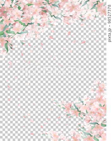 桜の淡い水彩の背景 桜の淡い水彩の背景 98527378
