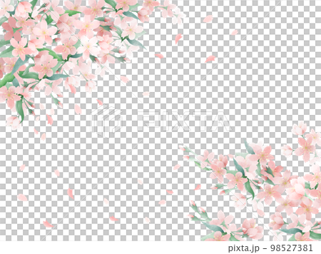 桜の淡い水彩の背景 98527381