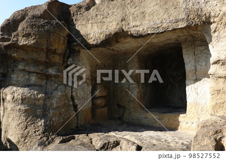 上行寺東遺跡 98527552