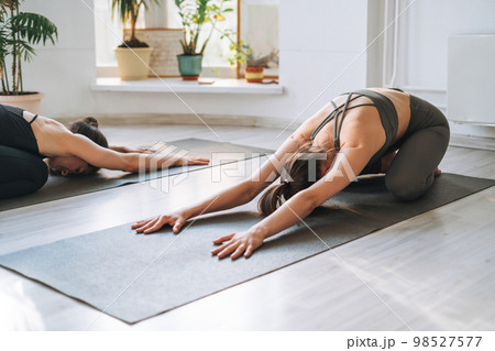 Young fit women practice yoga doing asana in bright yoga studio 98527577