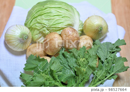 春野菜も出てきましたよ 98527664