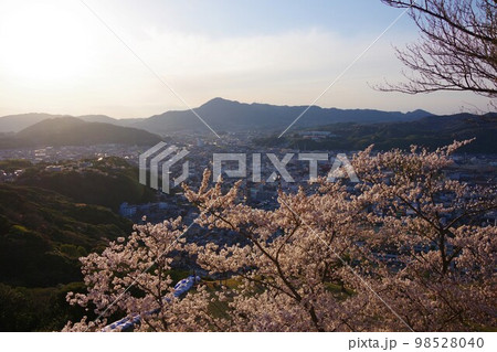 兵庫県　桜の咲く洲本城から市街・先山方面を望む　 98528040