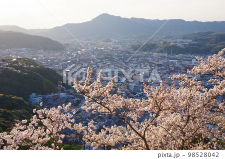 兵庫県 桜の咲く洲本城から市街・先山方面を望む 兵庫県 桜の咲く洲本城から市街・先山方面を望む 98528042