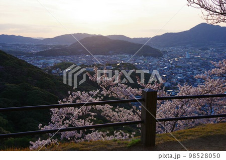 兵庫県　桜の咲く洲本城から市街・先山方面を望む 98528050