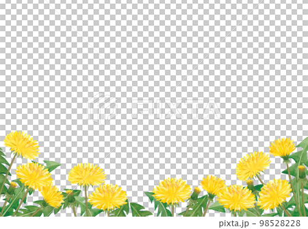 Frame of watercolor dandelions 98528228