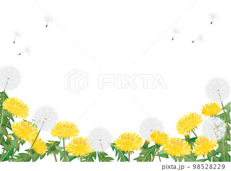 水彩のたんぽぽのイラスト背景 98528229