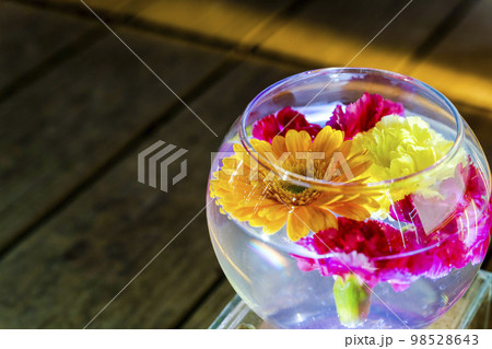 あしかがフラワーパークのイルミネーション 光の花の庭 光の花手水 栃木県足利市 あしかがフラワーパークのイルミネーション 光の花の庭 光の花手水 栃木県足利市 98528643