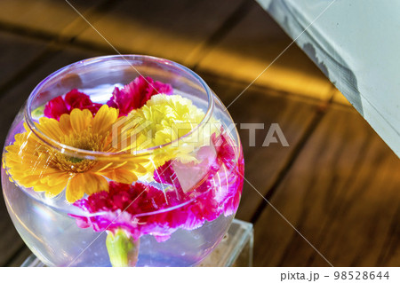 あしかがフラワーパークのイルミネーション 光の花の庭 光の花手水 栃木県足利市 あしかがフラワーパークのイルミネーション 光の花の庭 光の花手水 栃木県足利市 98528644