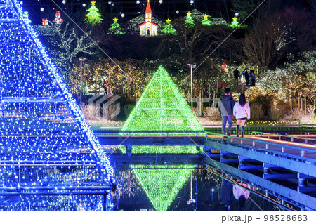 あしかがフラワーパークのイルミネーション　光の花の庭　男女カップル　栃木県足利市 98528683