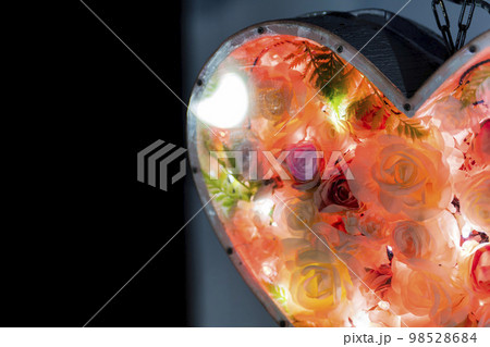 あしかがフラワーパークのイルミネーション　光の花の庭　ハートのライト　栃木県足利市 98528684