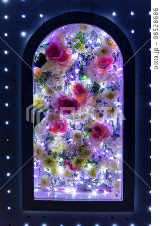 あしかがフラワーパークのイルミネーション　光の花の庭　花窓のライト　栃木県足利市 98528686