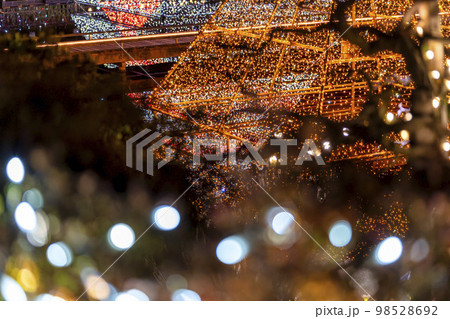 あしかがフラワーパークのイルミネーション　光の花の庭　栃木県足利市 98528692