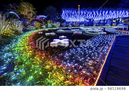 あしかがフラワーパークのイルミネーション　光の花の庭　栃木県足利市 98528698