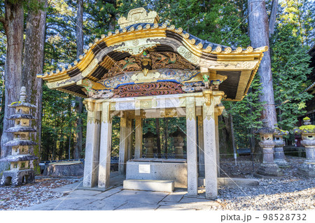 冬晴れの日光東照宮　御水舎　栃木県日光市 98528732